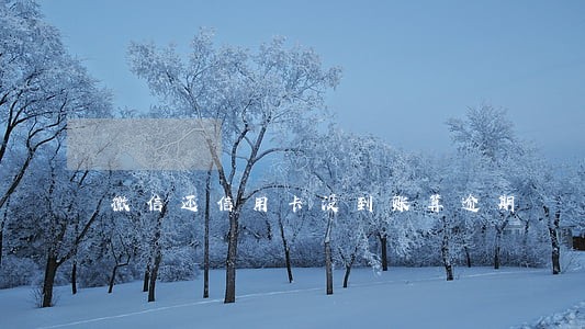 微信还信用卡没到账算逾期 微信还信用卡没到账算逾期