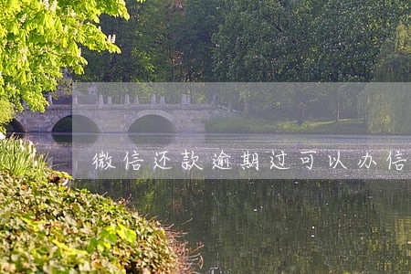 微信还款逾期过可以办信用卡吗 微信还款逾期过可以办信用卡吗