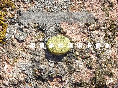 微信通知信用卡逾期 微信通知信用卡逾期