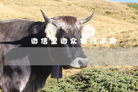 微信里微众银行逾期