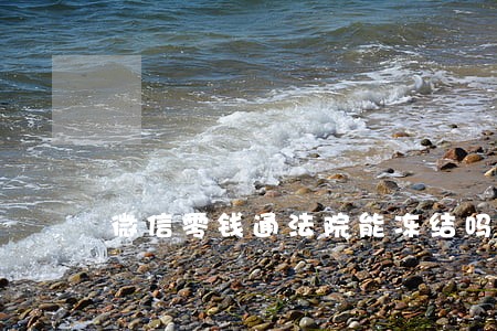 微信零钱通法院能冻结吗 微信零钱通法院能冻结吗