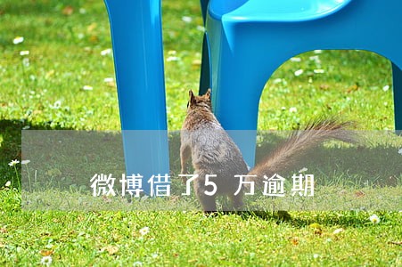 微博借了5万逾期