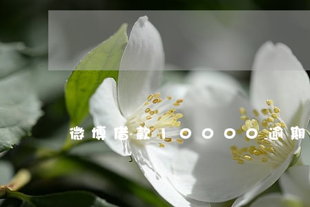 微博借款10000逾期费用