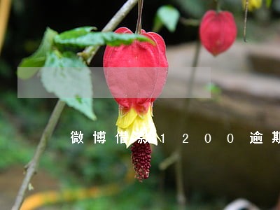 微博借款1200逾期 微博借款1200逾期