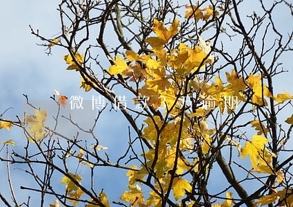 微博借款3万逾期