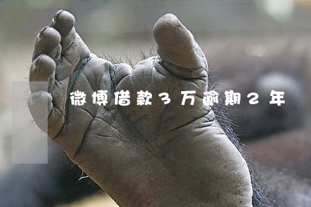 微博借款3万逾期2年