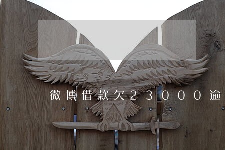 微博借款欠23000逾期 微博借款欠23000逾期