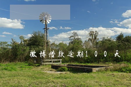 微博借款逾期100天