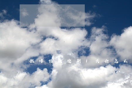 微博借款逾期1天会怎么样 微博借款逾期1天会怎么样
