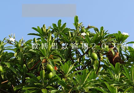 微博借款逾期20天的利息 微博借款逾期20天的利息