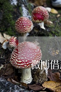 微博借款逾期27天 微博借款逾期27天