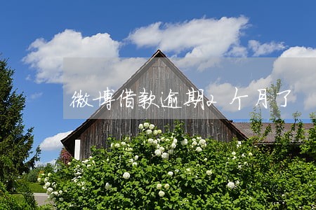 微博借款逾期2个月了 微博借款逾期2个月了