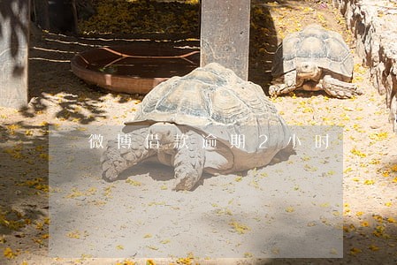 微博借款逾期2小时 微博借款逾期2小时