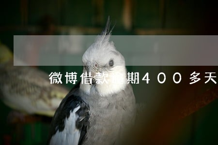 微博借款逾期400多天 微博借款逾期400多天