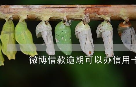 微博借款逾期可以办信用卡吗 微博借款逾期可以办信用卡吗