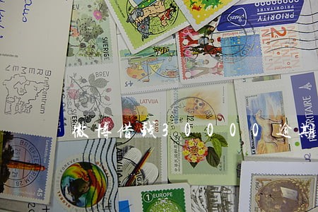 微博借钱30000逾期没钱还