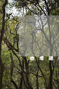微博借钱36000元逾期 微博借钱36000元逾期