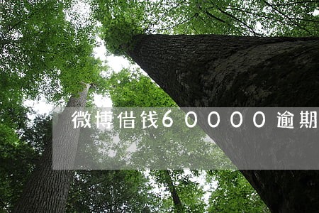 微博借钱60000逾期 微博借钱60000逾期