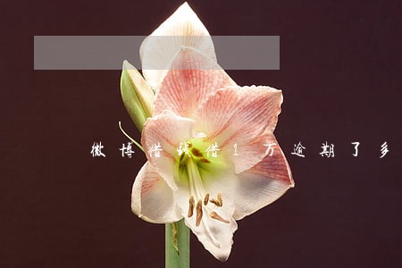 微博借钱借1万逾期了多少钱一天 微博借钱借1万逾期了多少钱一天