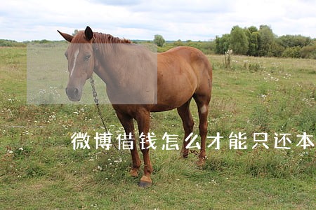 微博借钱怎么才能只还本金 微博借钱怎么才能只还本金