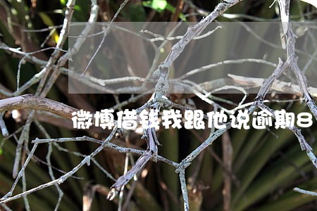 微博借钱我跟他说逾期8天 微博借钱我跟他说逾期8天