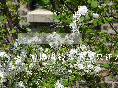 微博借钱是不是只还本金 微博借钱是不是只还本金