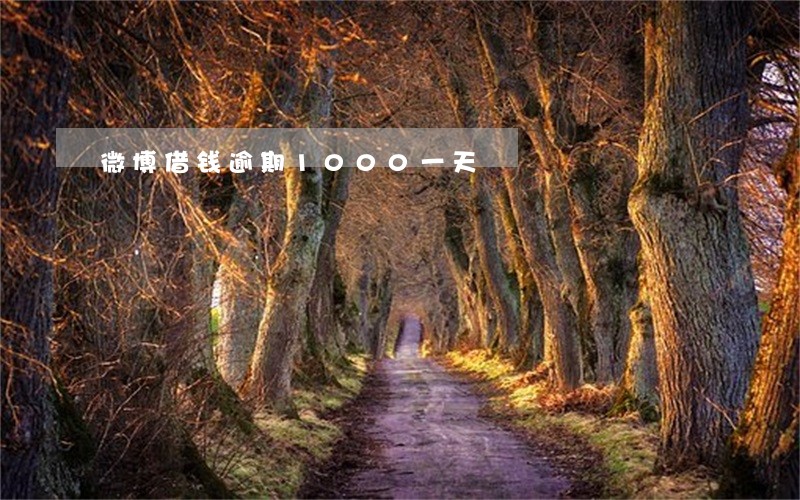 微博借钱逾期1000一天 微博借钱逾期1000一天