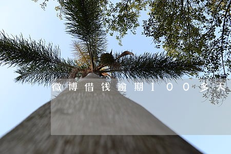 微博借钱逾期100多天会怎样 微博借钱逾期100多天会怎样