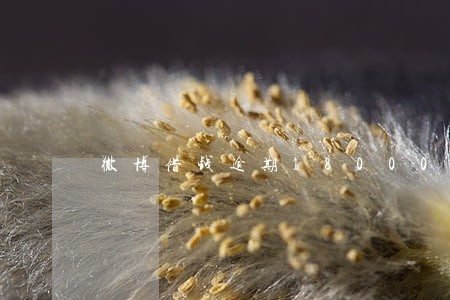 微博借钱逾期18000 微博借钱逾期18000
