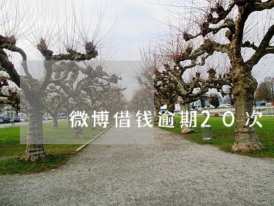 微博借钱逾期20次 微博借钱逾期20次