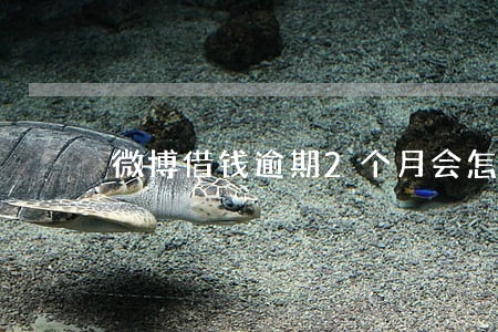 微博借钱逾期2个月会怎样 微博借钱逾期2个月会怎样