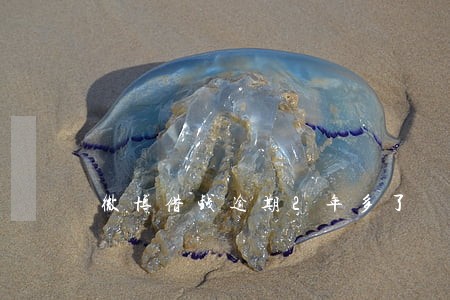 微博借钱逾期2年多了 微博借钱逾期2年多了
