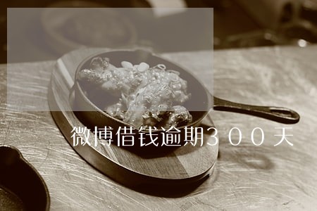 微博借钱逾期300天 微博借钱逾期300天
