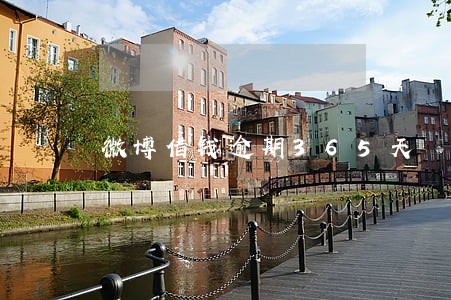 微博借钱逾期365天 微博借钱逾期365天