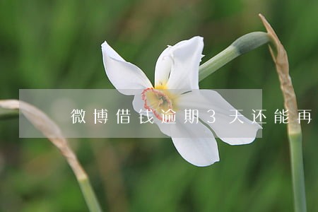 微博借钱逾期3天还能再借吗 微博借钱逾期3天还能再借吗