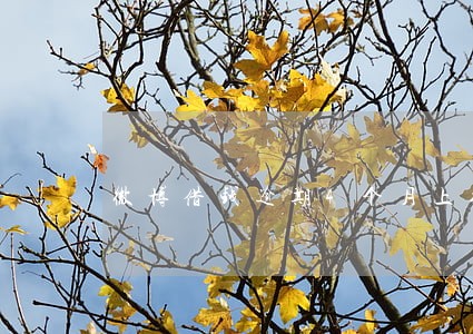 微博借钱逾期4个月上征信吗 微博借钱逾期4个月上征信吗