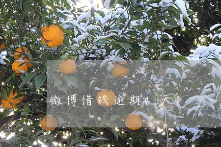 微博借钱逾期4天 微博借钱逾期4天