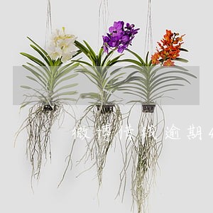 微博借钱逾期4年亲身经历 微博借钱逾期4年亲身经历