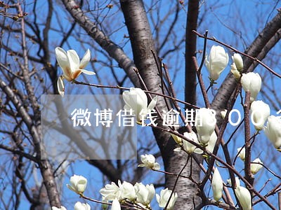 微博借钱逾期800多天