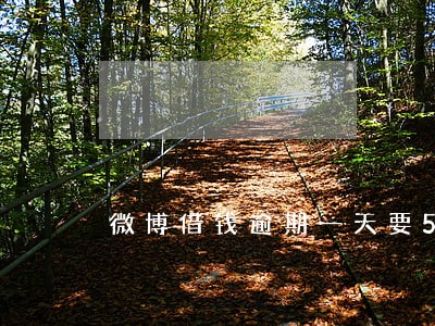 微博借钱逾期一天要50 微博借钱逾期一天要50
