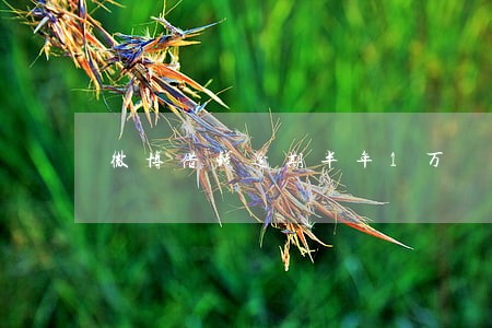 微博借钱逾期半年1万