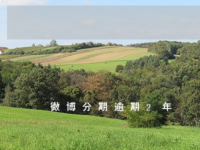 微博分期逾期2年 微博分期逾期2年