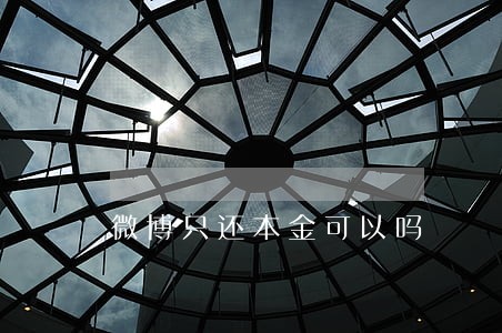微博只还本金可以吗 微博只还本金可以吗