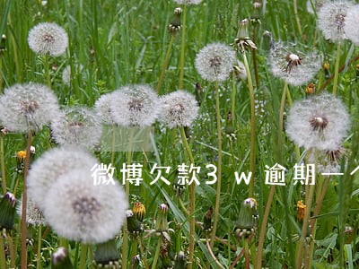 微博欠款3w逾期一个月