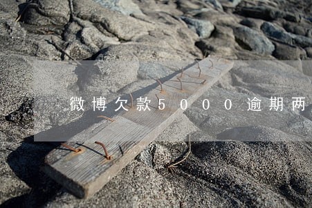 微博欠款5000逾期两个月 微博欠款5000逾期两个月
