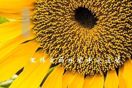 微博爱丽丝团体违法吗 微博爱丽丝团体违法吗