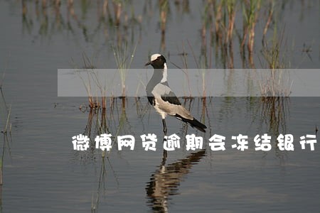 微博网贷逾期会冻结银行卡吗 微博网贷逾期会冻结银行卡吗