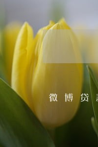微博贷款逾期100天如何处理 微博贷款逾期100天如何处理