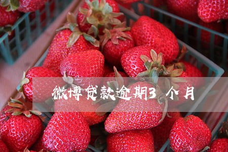 微博贷款逾期3个月 微博贷款逾期3个月