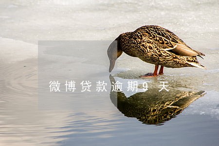微博贷款逾期9天 微博贷款逾期9天